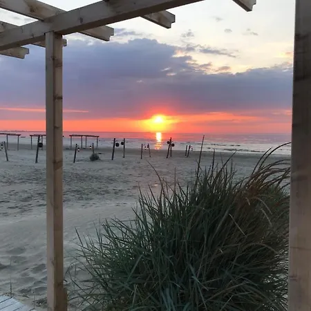 Silver Mamaia Nord